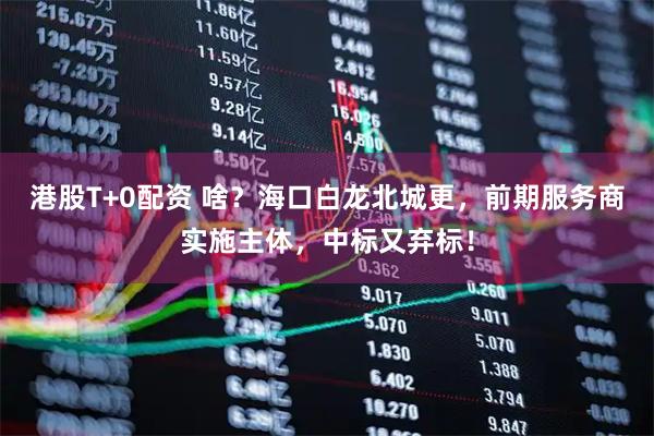 港股T+0配资 啥？海口白龙北城更，前期服务商实施主体，中标又弃标！