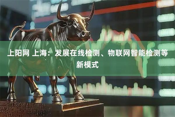 上阳网 上海：发展在线检测、物联网智能检测等新模式