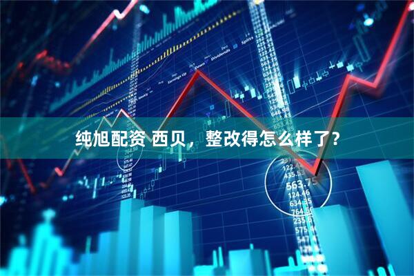 纯旭配资 西贝，整改得怎么样了？